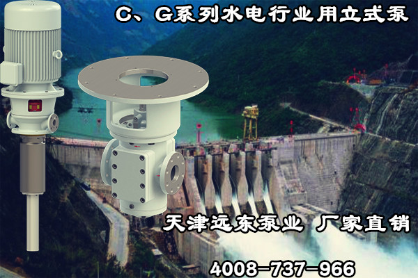 C、G系列水電行業(yè)用立式泵